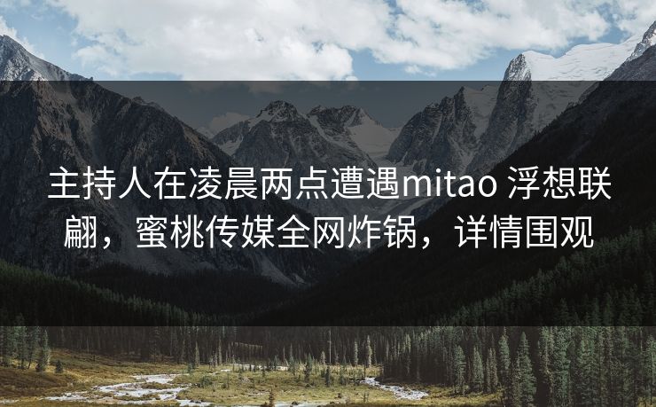 主持人在凌晨两点遭遇mitao 浮想联翩，蜜桃传媒全网炸锅，详情围观