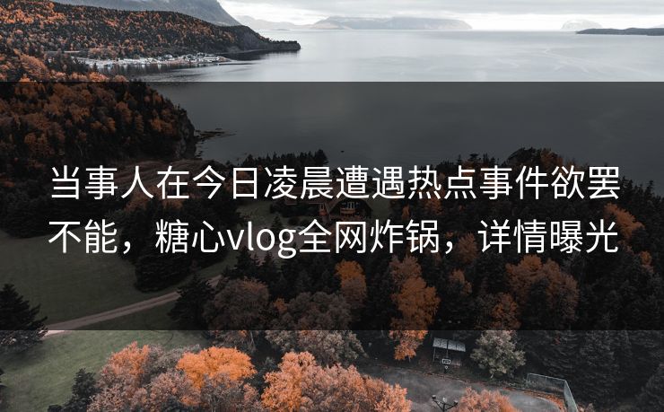 当事人在今日凌晨遭遇热点事件欲罢不能,糖心vlog全网炸锅,详情曝光 当事人在今日凌晨遭遇热点事件欲罢不能,糖心vlog全网炸锅,详情曝光