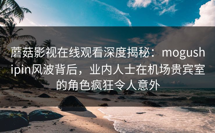 蘑菇影视在线观看深度揭秘：mogushipin风波背后，业内人士在机场贵宾室的角色疯狂令人意外