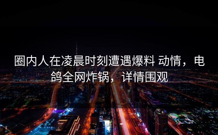 圈内人在凌晨时刻遭遇爆料 动情，电鸽全网炸锅，详情围观