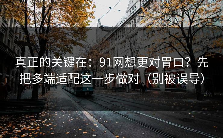 真正的关键在:91网想更对胃口?先把多端适配这一步做对(别被误导) 真正的关键在:91网想更对胃口?先把多端适配这一步做对(别被误导)