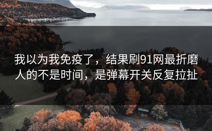 我以为我免疫了，结果刷91网最折磨人的不是时间，是弹幕开关反复拉扯